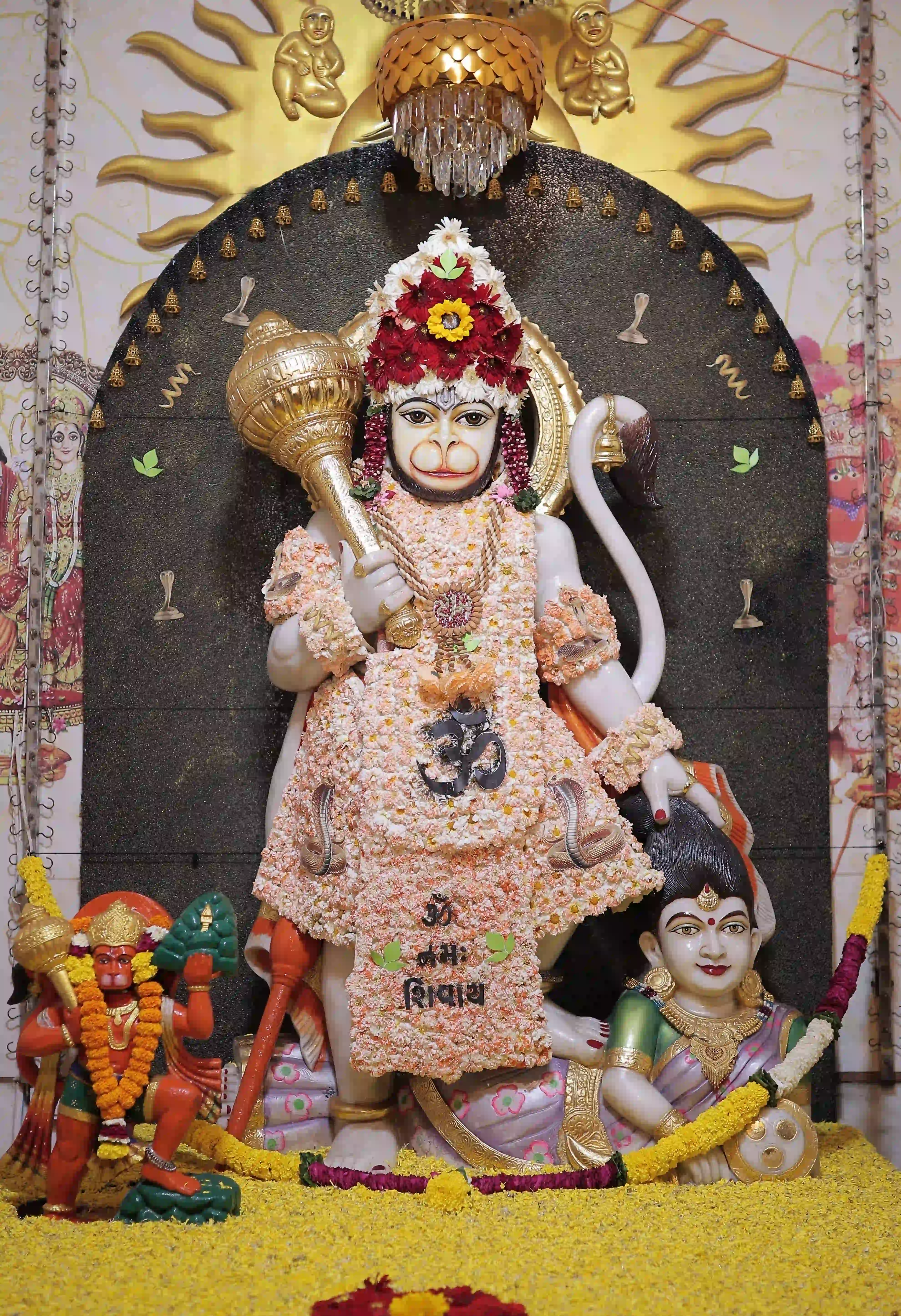 Dham View